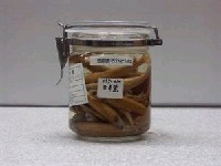 藏品(日本鯷)的圖片